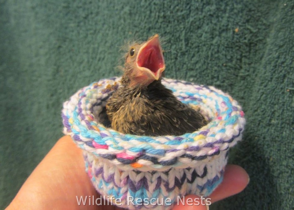 Wildlife Rescue Nests: nidi a maglia e all'uncinetto per animali selvatici